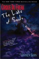 The_Lake_of_Souls__book_10